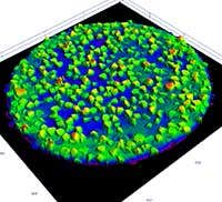 Superficie de una herramienta con partículas de diamante electrodepositadas