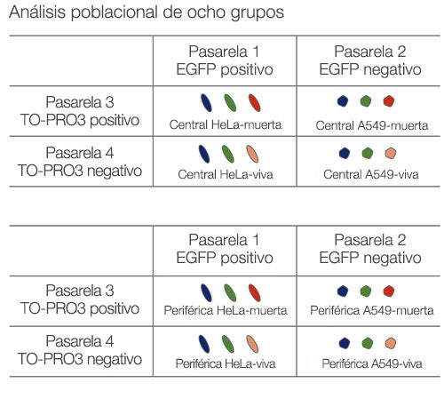 Análisis poblacional de ocho grupos