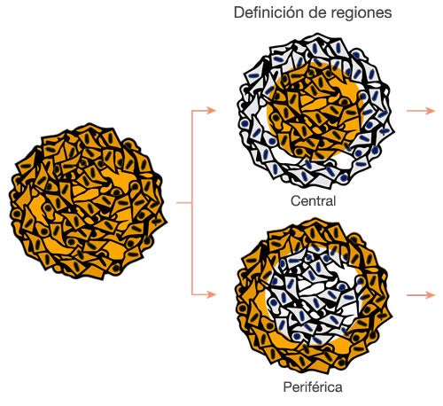 Definición de regiones