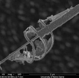 Figure 8. Device integrity inspection. (a) SEM of an electrically continuous device and b) the OLS5000 microscope’s image of a similar device; the laser-scanning image shows that the antennas were damaged during the fabrication.