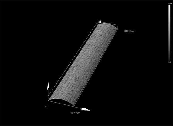 Imagen combinada con siete imágenes consecutivas unidas y adquiridas con el microscopio confocal OLS5000.