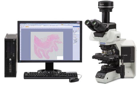 La creciente importancia de la digitalización de muestras en portaobjetos