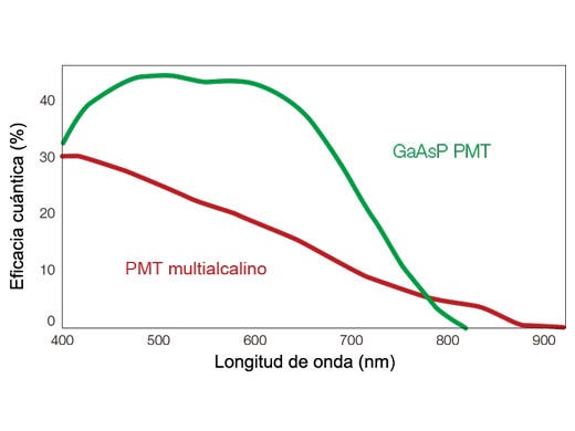 ¿Cómo el microscopio confocal FV3000 favoreció a nuestro experimento?