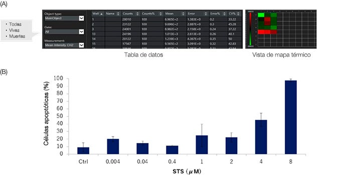 Figura 6: Resultados de cuantificación de análisis de células vivas/muertas para esferoides de HT-29 con y sin STS.