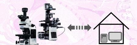 microscopía remota, microscopía a distancia