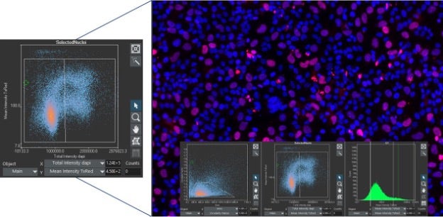 Citometría de imagen para evaluar poblaciones celulares