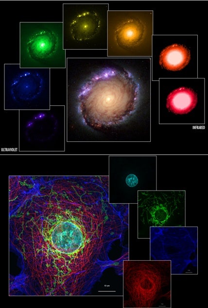 Aplicaciones espectroscópicas comparadas en la astronomía y en la microscopía.