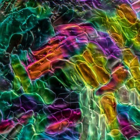 Limonada con ginebra bajo el microscopio