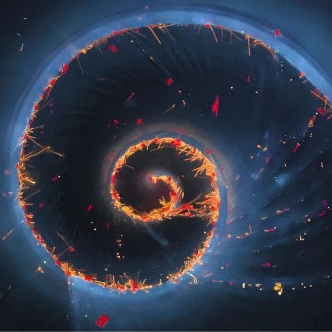 Caparazón de caracol