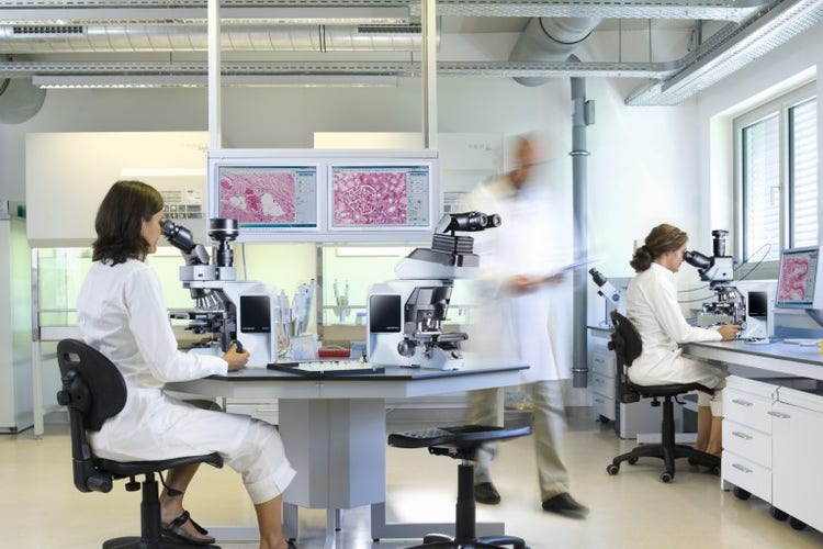 Investigadores trabajando en un laboratorio con microscopios