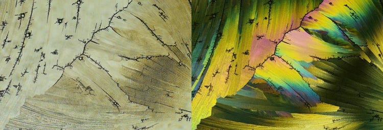 Derecho: Microcristales bajo luz normal / Izquierda: Microcristales bajo luz polarizada