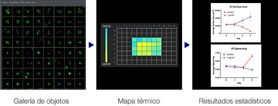 Análisis de imágenes 3D de alto rendimiento