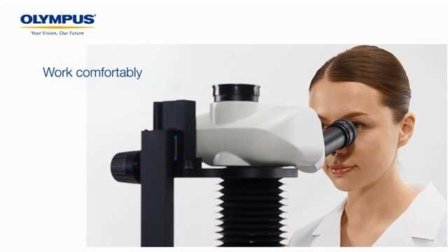 Ergonomía del estereomicroscopio