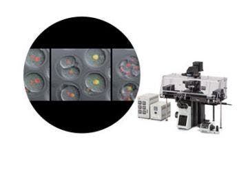 Live Cell Imaging