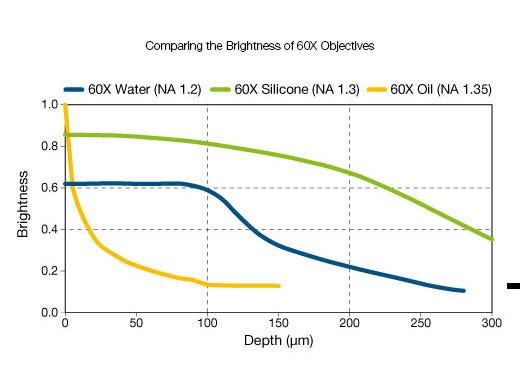 Comparing the Brightness of 60X Objectives