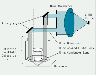 Optical System Configuration of Darkfield Microscopy: Reflected Type