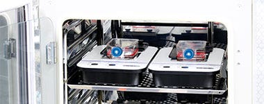 Figura 6. Con una línea celular por placa, se colocaron dos monitores CM20 en la incubadora con las placas de cultivo