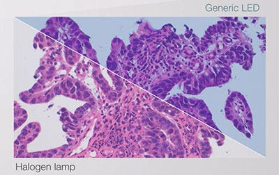 Comparison of halogen lamp + filter and generic LED