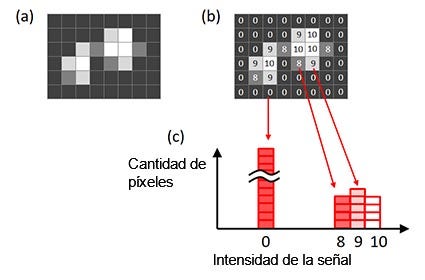 Figura 6 - Histograma de una imagen. a) Imagen original; b) intensidad de la señal de cada píxel proyectado en la imagen original; c) histograma creado a partir de la imagen original.