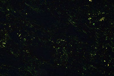 Figure 6: Multiheaded discussion system (left) for 26 people and observation image (right)