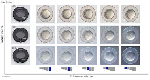 Optimización de la observación oblicua con la solución Olympus de contraste flexible