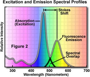 Gráfico que muestra los espectros de excitación y emisión