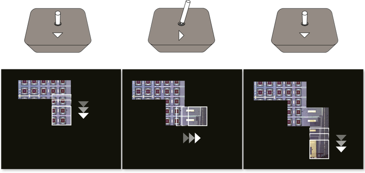 The macro map on the LEXT OLS5500 3D optical profilometer.