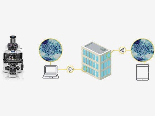 Fácil intercambio de imágenes obtenidas con la cámara microscópica