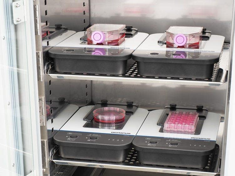 Label-free detection