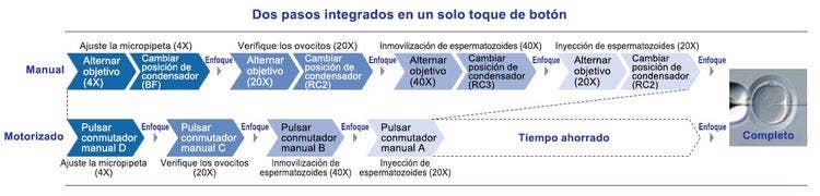 Trabajo microscópico racionalizado
