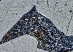 Enhanced contrast with HDR.