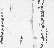 Steel with nonmetallic inclusions