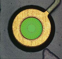 Detección automática de bordes dentro del círculo