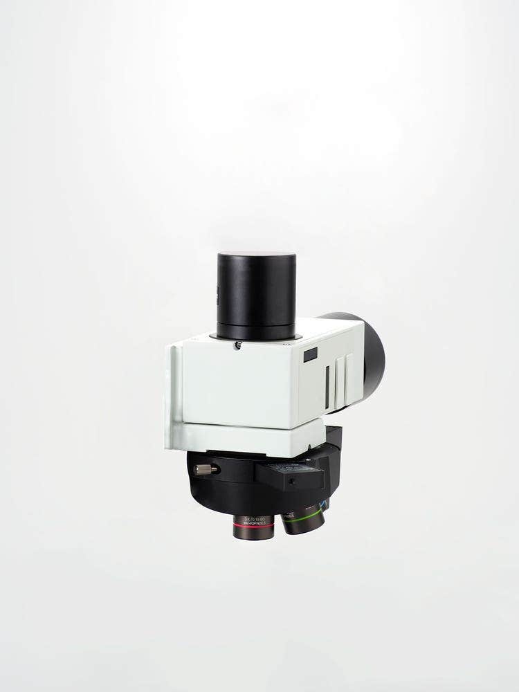 Versatile (versátil)