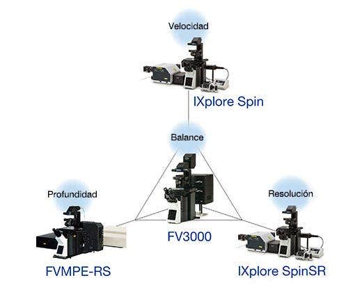 Trabajo enriquecido por varias técnicas de imagen