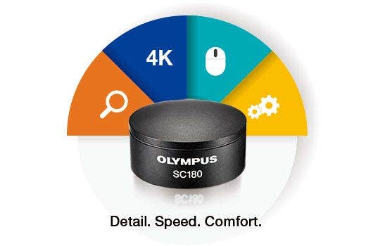 Rápido y fácil de usar