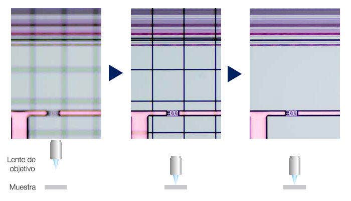Halle el enfoque con rapidez: Ayuda en el enfoque