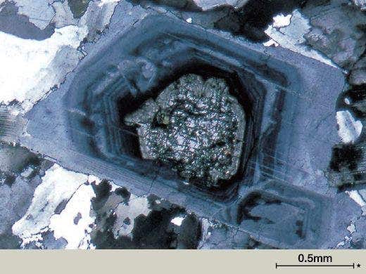 La óptica UIS2 ofrece excelentes posibilidades de ampliación