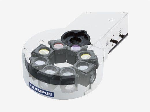 Integrated Flexibility in Fluorescence, Picture