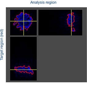 Analysis region