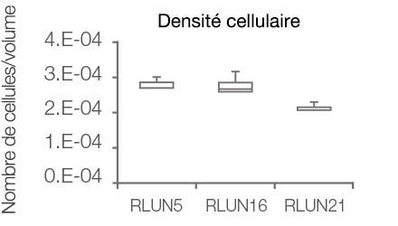 Figure 3 Quantification 3D de la morphologie des PDO