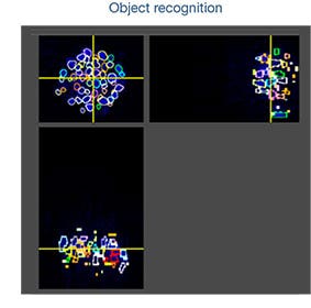 object recognition