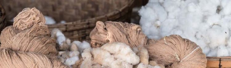 Analyse quantitative de la laine pashmina au moyen d’un microscope industriel