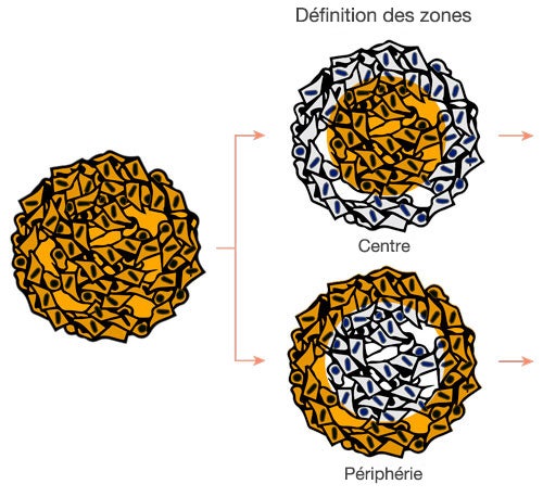 Définition des zones