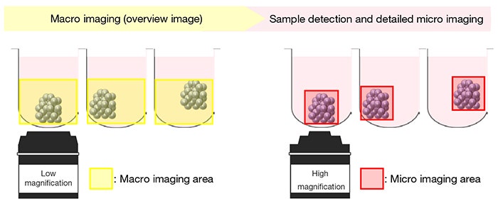 Figure 1. Représentation schématique de l’imagerie macro à micro