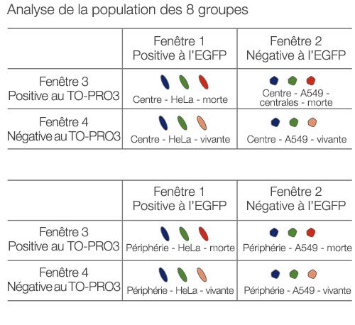 Analyse de la population des 8 groupes