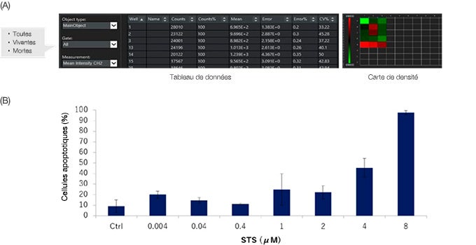 Figure 6 : Résultats de la quantification de l’analyse de la viabilité des cellules de sphéroïdes HT-29 traités ou non à la STS.