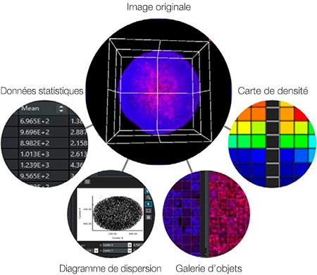 Figure 7 : Le logiciel NoviSight permet d’afficher l’image correspondant à un point de données ou un objet lorsque vous cliquez sur ce point de données ou cet objet.