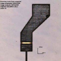 Carbon Hinge Overview