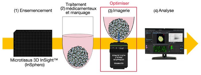 Processus d’évaluation d’un médicament